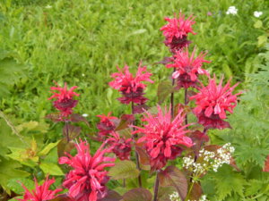 DSCN2897.JPG