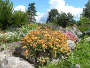 DSCN2982.JPG