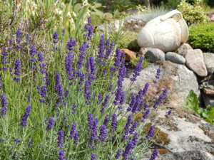 DSCN2985.JPG