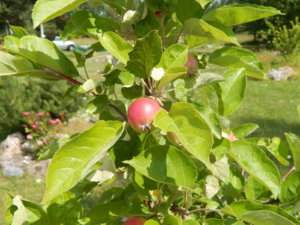 DSCN2999.JPG