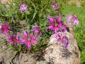 DSCN3008.JPG