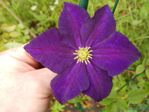 DSCN2943.JPG