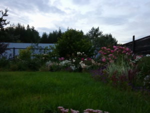 IMG_20190710_214049.jpg