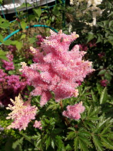 20190716_141642.jpg