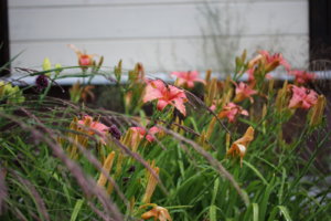 IMG_9532.JPG