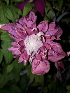 20190713_221816.jpg