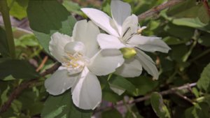 WP_20190718_11_57_24_Pro_LI.jpg