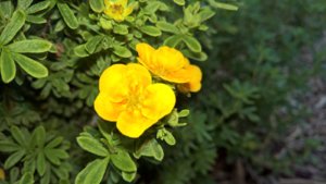 WP_20190718_14_48_40_Pro_LI.jpg