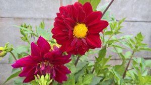 WP_20190717_13_46_36_Pro_LI.jpg