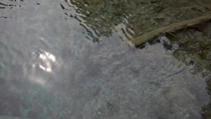 WP_20190715_13_42_56_Pro_LI.jpg