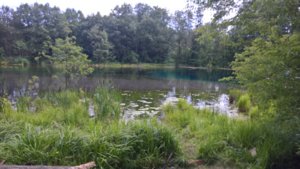 WP_20190715_13_45_47_Pro_LI.jpg