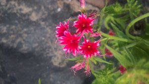 WP_20190712_11_59_08_Pro_LI.jpg