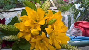 WP_20190715_07_41_22_Pro_LI.jpg