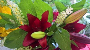 WP_20190715_07_41_53_Pro_LI.jpg