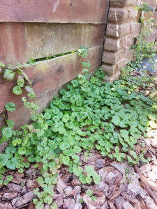 20190714_125632.jpg