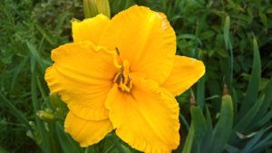 WP_20190717_13_56_56_Pro_LI.jpg