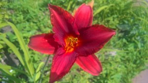 WP_20190712_11_57_39_Pro_LI.jpg