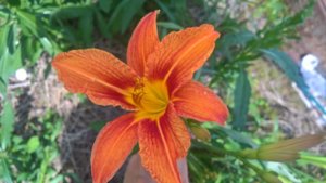 WP_20190712_11_54_03_Pro_LI.jpg