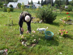DSCN3009.JPG