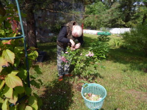 DSCN3017.JPG