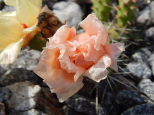 DSCN3036.JPG