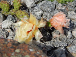 DSCN3037.JPG