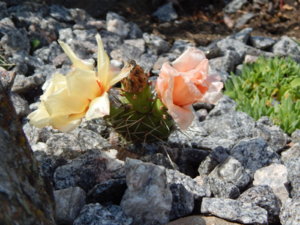 DSCN3038.JPG