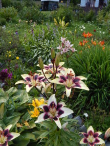 DSCN3025.JPG