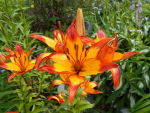 DSCN3029.JPG