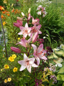 DSCN3032.JPG