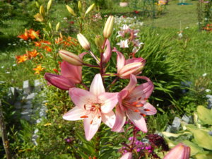 DSCN3033.JPG