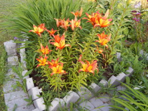 DSCN3199.JPG