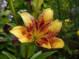 DSCN3031.JPG