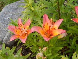 DSCN3103.JPG