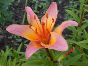 DSCN3104.JPG