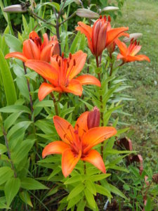 DSCN3111.JPG