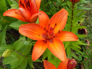 DSCN3112.JPG