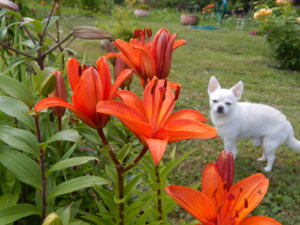 DSCN3113.JPG
