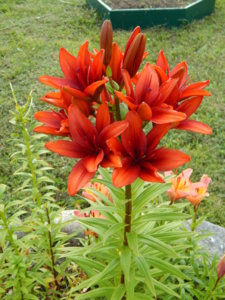 DSCN3100.JPG