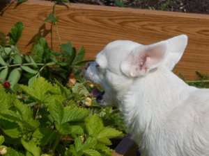 DSCN3122.JPG