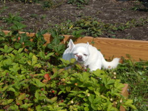 DSCN3123.JPG