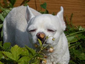 DSCN3124.JPG