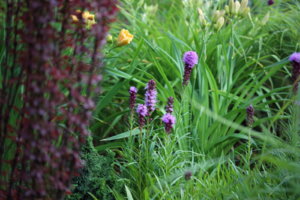 IMG_9962.JPG