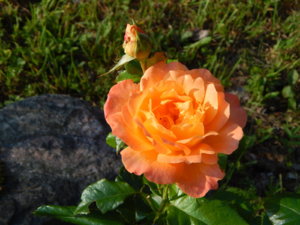 DSCN3221.JPG