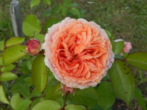 DSCN3058.JPG