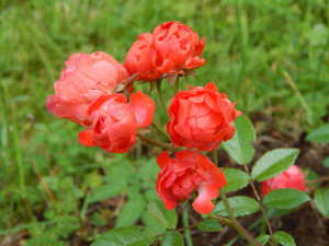 DSCN3084.JPG