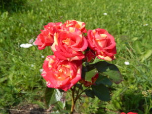 DSCN3133.JPG