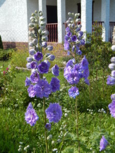 DSCN3169.JPG