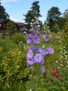 DSCN3174.JPG