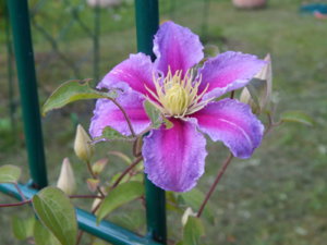 DSCN3120.JPG